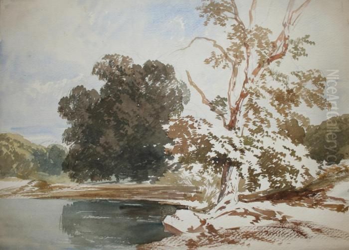 An Album Of Tree Studies,
Landscape Sketches And Architectural Details Fifty Ones Leaves Of Wash Drawings Oil Painting by James Duffield Harding