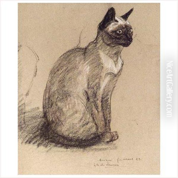 Etude De Chat Oil Painting by Theophile Alexandre Steinlen