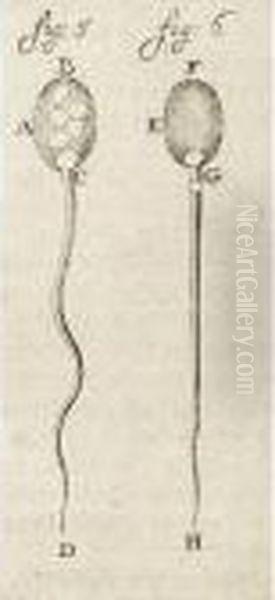 4 Volumes, 4to (196 X 155mm.), 3
 Engraved Frontispieces, 1 Engraved Portrait, 100 Engraved Plates And 
123 Engraved Illustrations In The Text, 2 Full-page, Uniformly Bound In 
Contemporary Dutch Vellum, Labelled In Manuscript In Ink On Spines Oil Painting by Sir Anthony Van Dyck