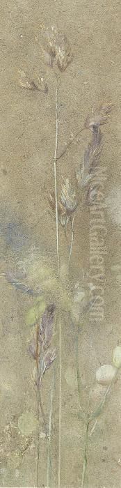 Seed-head Study Oil Painting by Edwin Alexander