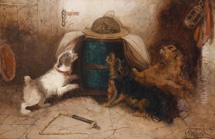 Three Dogs Barking At A Mouse Oil Painting by George Armfield
