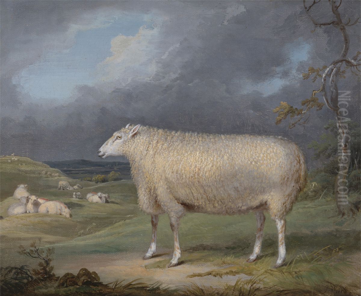 A Border Leicester Ewe Oil Painting by James Ward