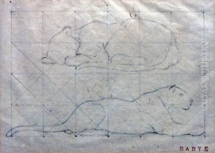 Etude De Panthere Oil Painting by Antoine-louis Barye