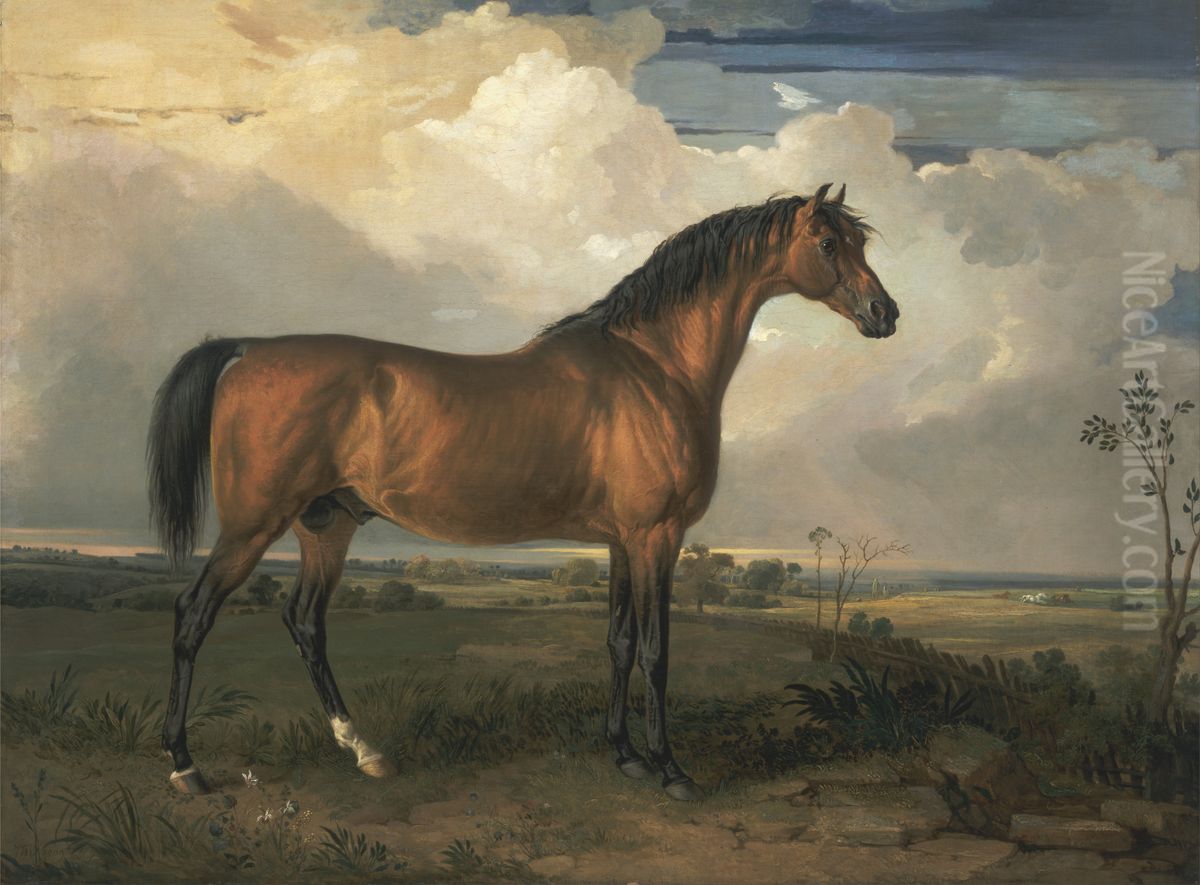 Eagle, a Celebrated Stallion Oil Painting by James Ward