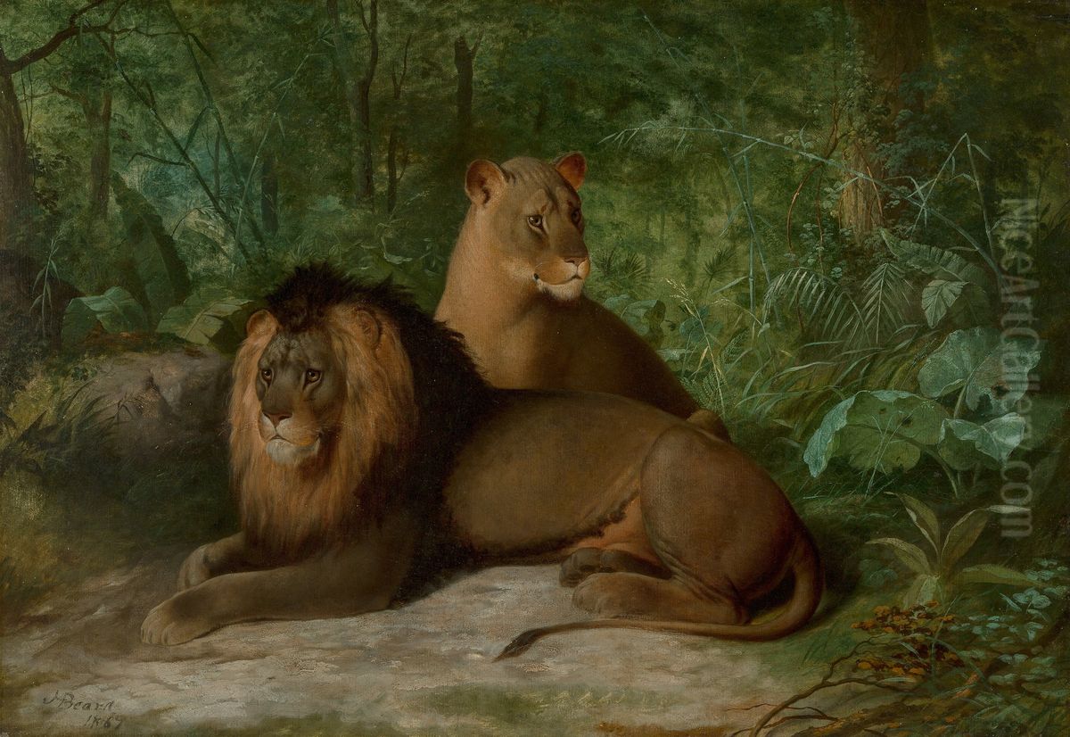 Lion And Lioness Oil Painting by James Henry Beard