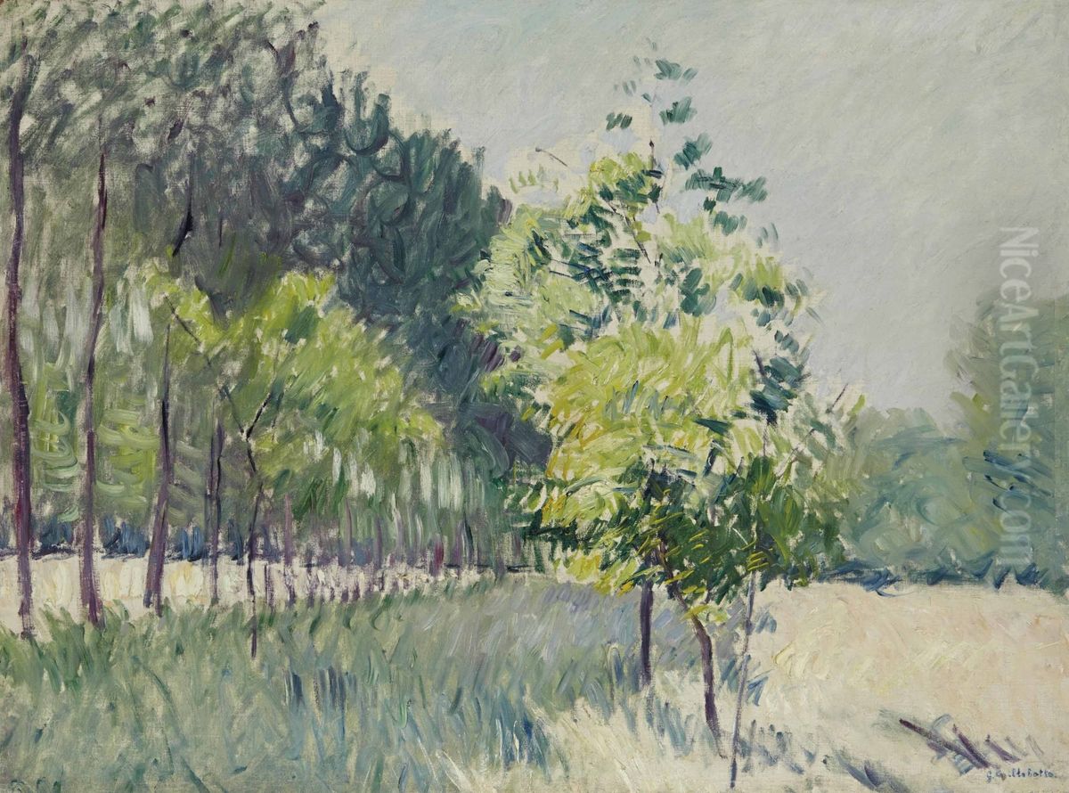 Allee Bordee D'arbres Oil Painting by Gustave Caillebotte