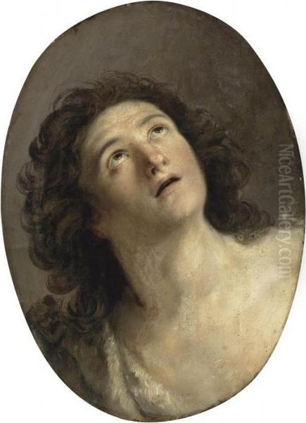 Saint John The Baptist Oil Painting by Simone Cantarini (Pesarese)