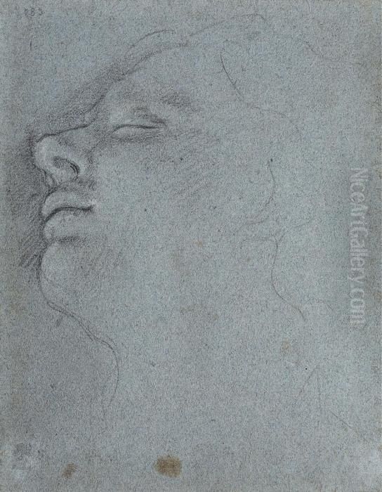 Kopf Eines Jungen Mannes Mit Geschlossenen Augen Oil Painting by Annibale Carracci