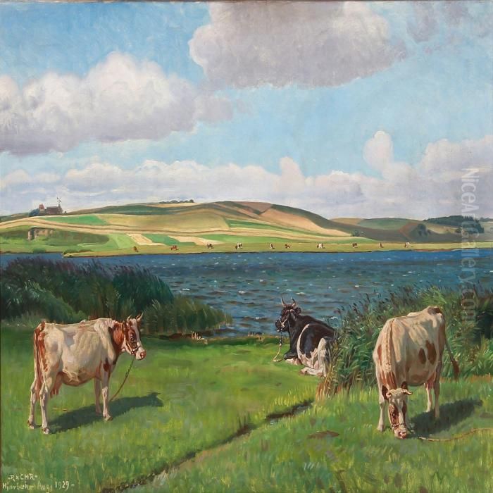 Koer Pa Engen Ved Hjarbaek Fjord Oil Painting by Rasmus Christiansen