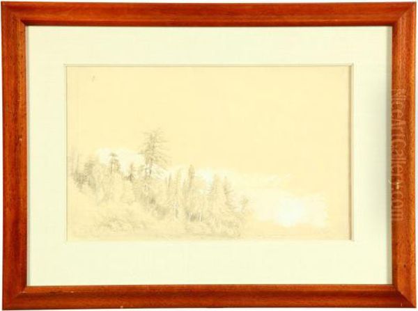 Coleman Oil Painting by Samuel Colman