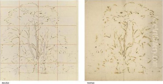 Study For 'elm Trees In Old Hall Park Oil Painting by John Constable