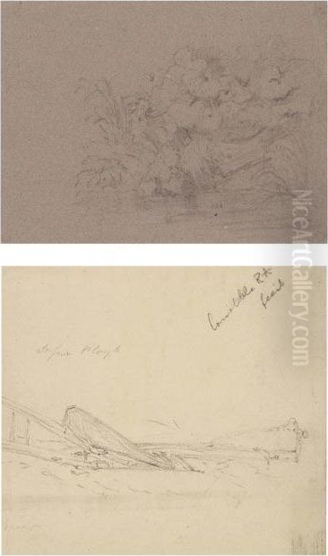 Study Of Plants And Rocks; Oil Painting by John Constable