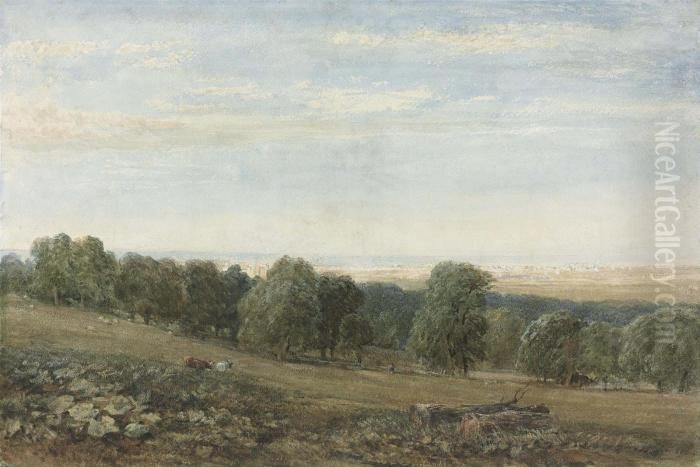 Bodelwyddan Near St Asaph In The Vale Of Clwyd, North Wales Oil Painting by David I Cox