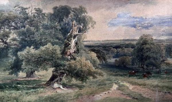 Wooded Valley Landscape With 
Gnarled Tree To Foreground And Cattle In Meadow To Middle Distance Oil Painting by David I Cox