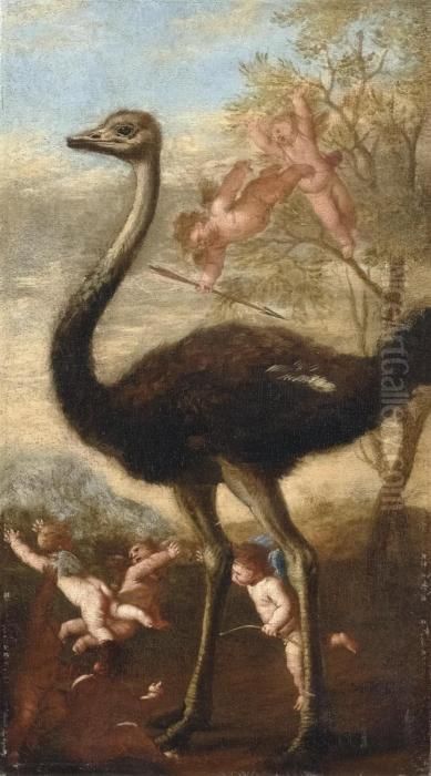 Struzzo E Puttini Oil Painting by Andrea Di Lione