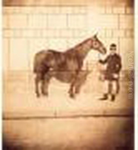 Le Cheval Alma, Circa 1860 Oil Painting by Andre A. Disderi