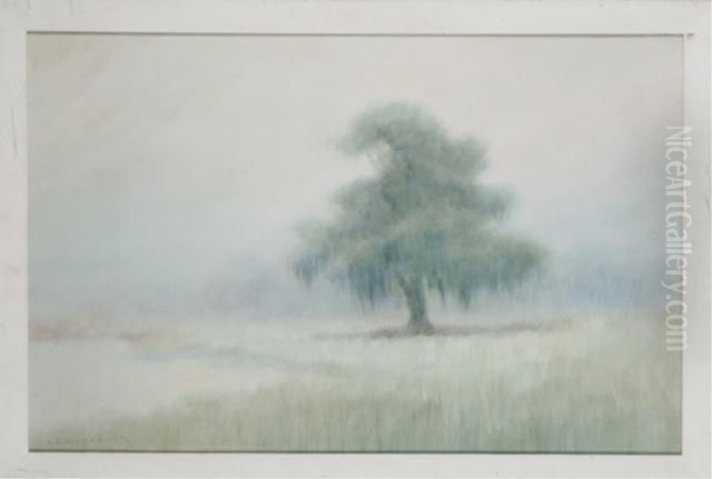 Moss-draped Live Oak In A Field Oil Painting by Alexander John Drysdale