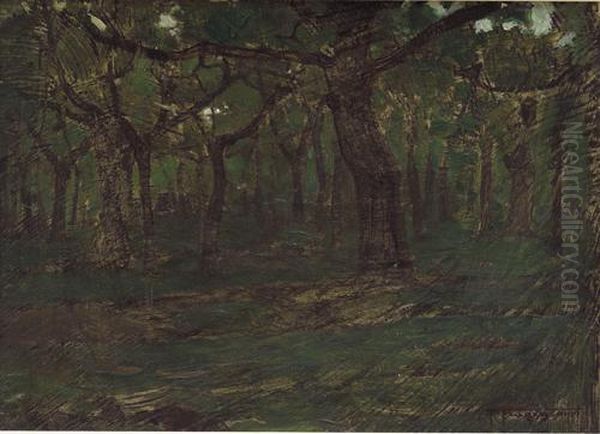 Sottobosco Oil Painting by Pietro Fragiacomo