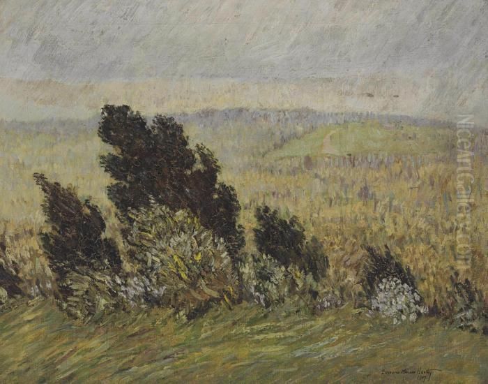 The Cedar Hedge Chestnut Hill, Boston, Massachusetts Oil Painting by Marsden Hartley