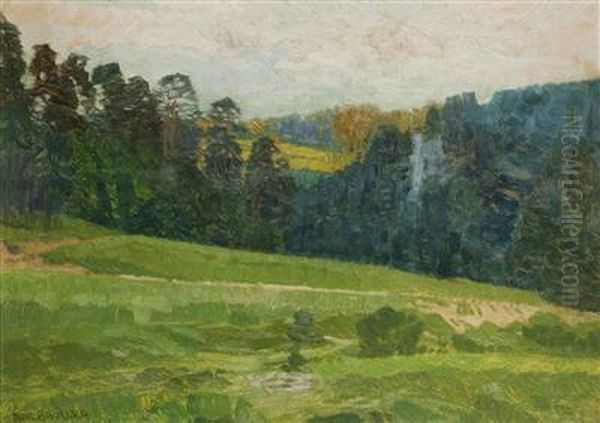 A Summer Landscape Oil Painting by Roman Havelka