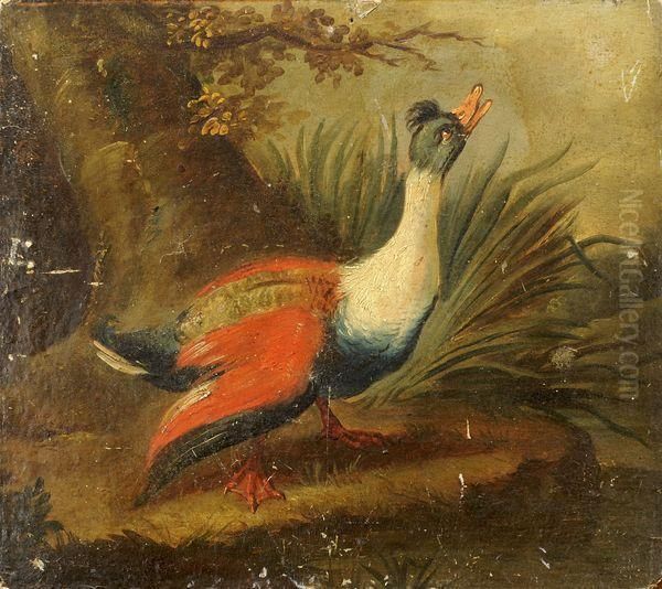 Un Canard Sauvage Oil Painting by Christophe Huet