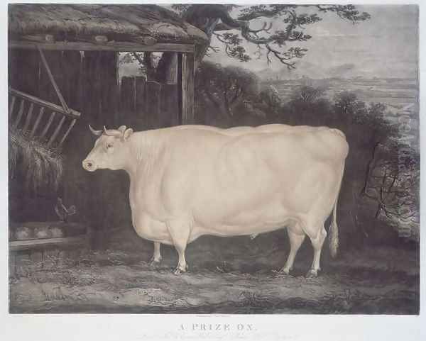 A Prize Ox, engraved by John Thompson, Smeaton, Yorks, 1831 Oil Painting by Thomas Weaver
