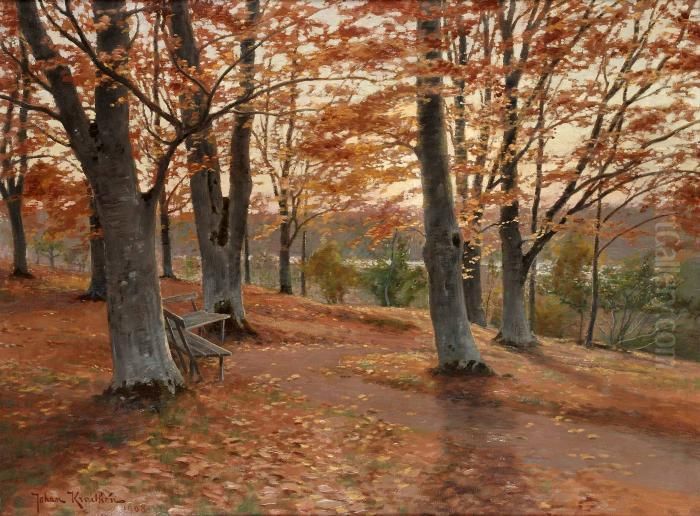 Bokskog Vid Radasjon Oil Painting by Johan Krouthen