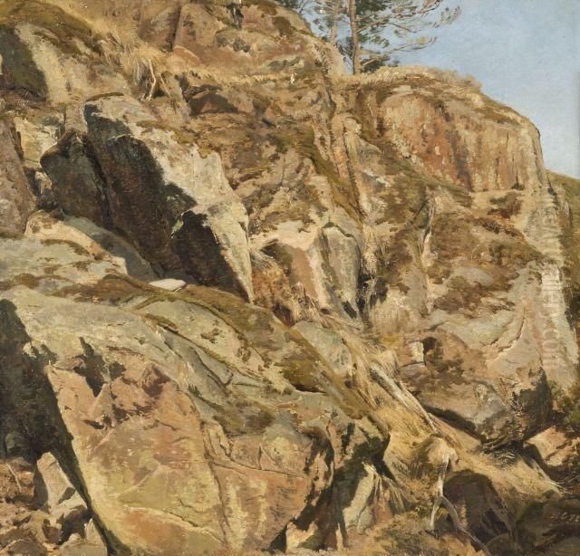 Etude De Rochers Oil Painting by Janus Andreas Bartholin La Cour