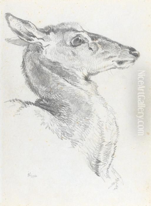 Head Of A Deer For The Chevy Chase Oil Painting by Sir Edwin Henry Landseer