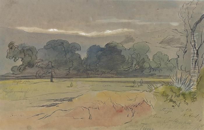 Khanea (or Canea), Crete Oil Painting by Edward Lear