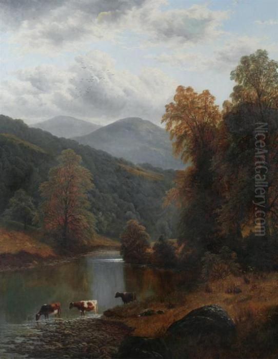 Cattle Drinking At Mountain Stream Oil Painting by William Mellor