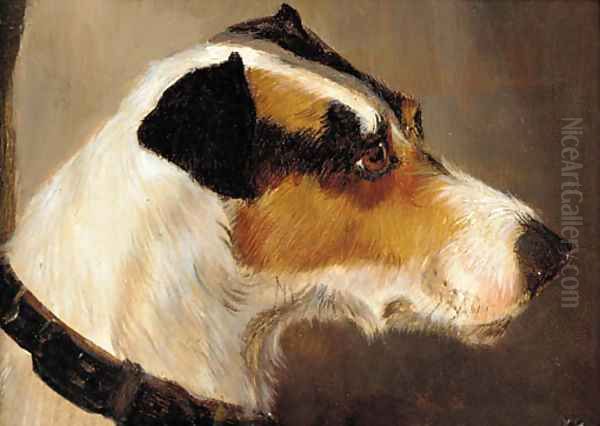 The head of a terrier Oil Painting by Alfred Wheeler