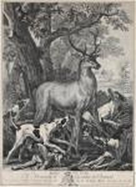 Le Bas L'abois Du Cerf A Monsieur Le Chevalier De Breteuil Oil Painting by Jean-Baptiste Oudry