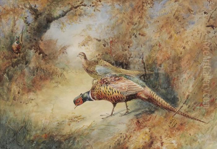 Pheasants In A Woodland Landscape Oil Painting by William E. Powell