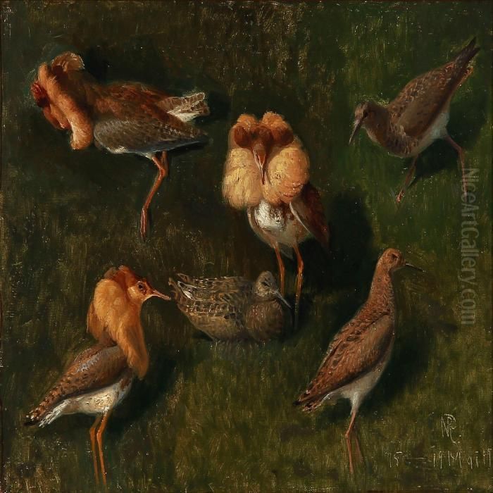 Ruffs And Chicken Oil Painting by Niels Pieter Rasmussen