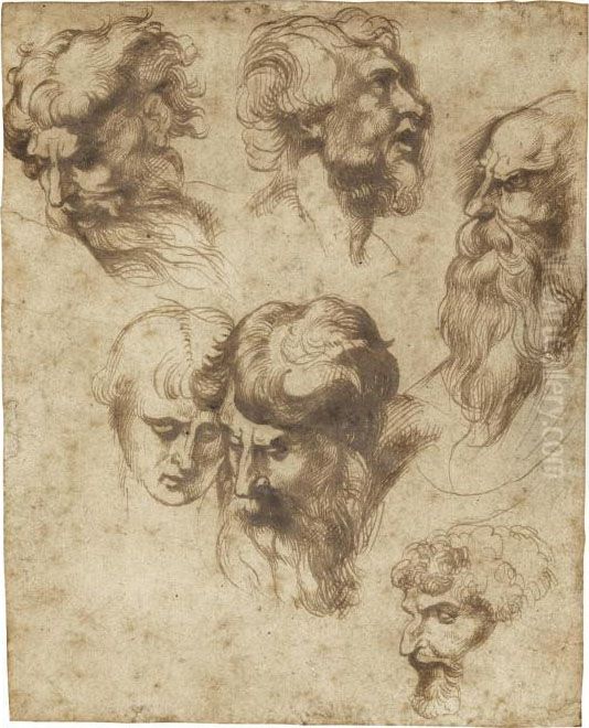 Studies Of Six Male Heads, After Raphael Oil Painting by (studio of) Rubens, Peter Paul