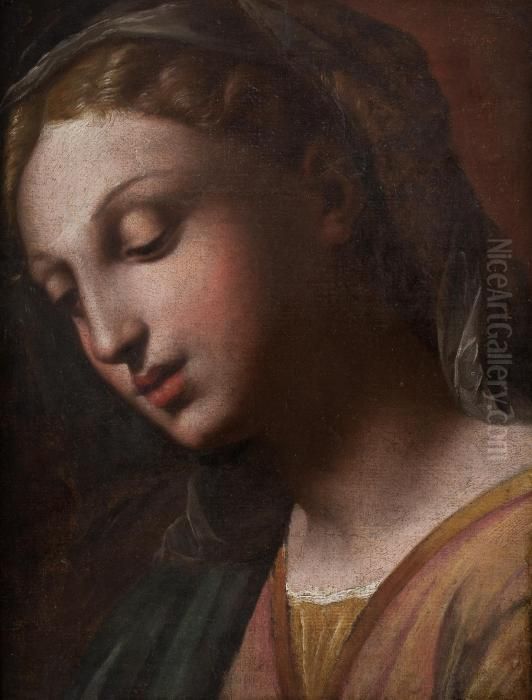Profilo Della Vergine Oil Painting by Raphael