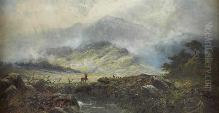 Deer In A Mountain Glen Oil Painting by Charles Stuard