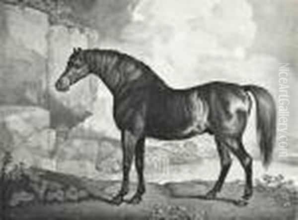 Baronet; Sharke; Sweetwilliam; And Maske Oil Painting by George Stubbs