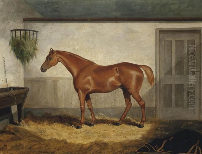 Leeds, A Chestnut Hunter In A Loose Box Oil Painting by Jacob Thompson