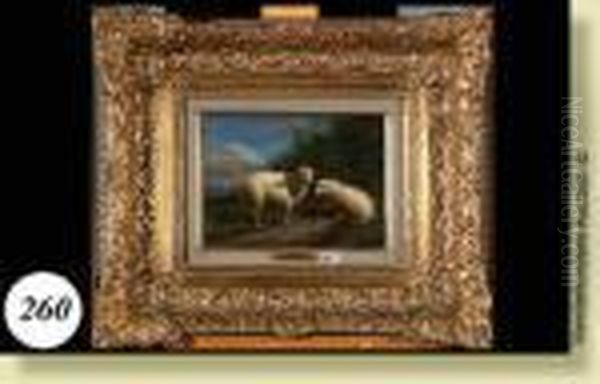 Huilesur Panneau D'acajou 
