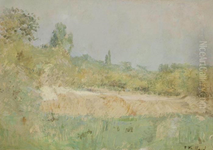 Paysage, Ile-de-france Oil Painting by Jean-Edouard Vuillard