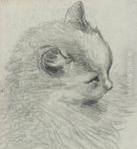 Study Of A Cat Oil Painting by Louis Wain