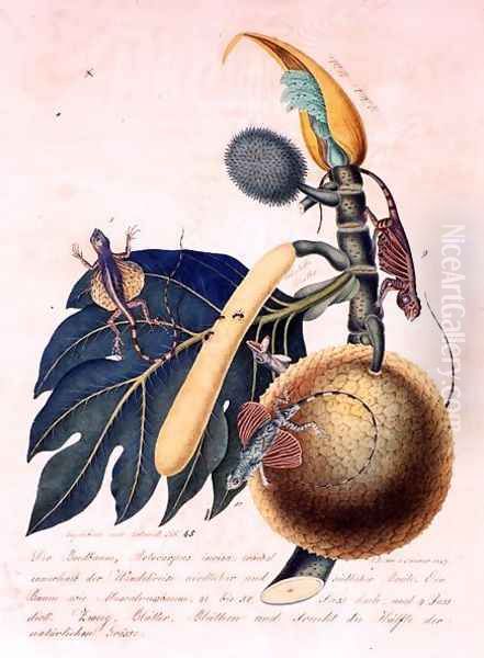 Der Broadbaum..., 1847 Oil Painting by Aloys Zotl