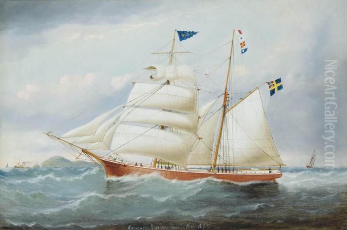 The Swedish Brigantine 
Wasa 
 Of Figeholm Passing The South Stack Oil Painting by William Howard Yorke
