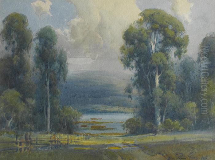 Eucalyptus Along A Fence Oil Painting by Percy Gray