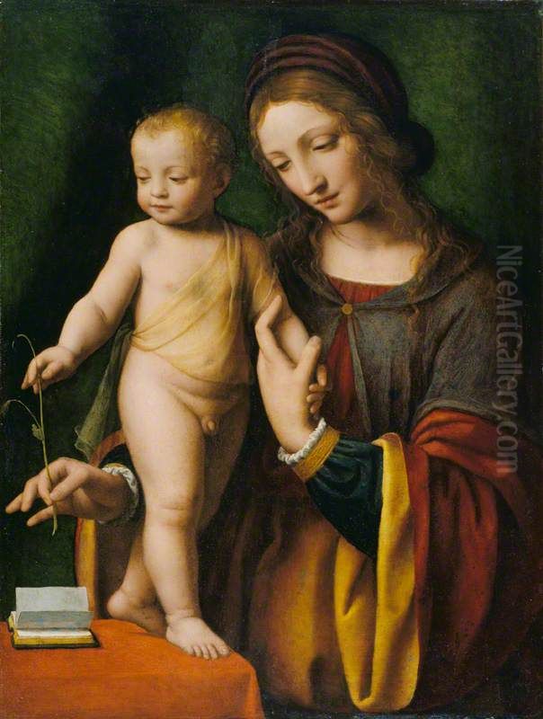 The Virgin And Child With A Columbine Oil Painting by Bernardino Luini