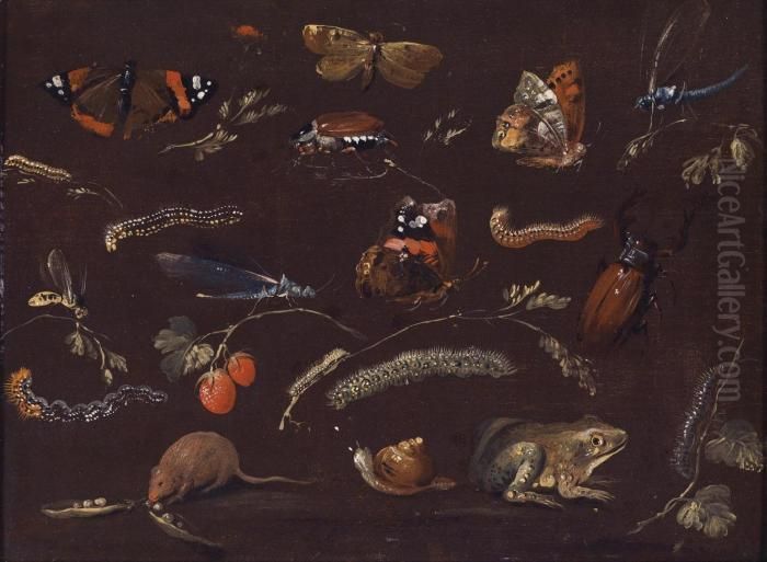 A Study Of Various Small Animals And Insects Oil Painting by Dietrich Findorff
