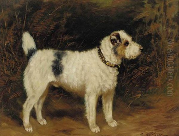 A Wire Haired Jack Russell Terrier Oil Painting by Charles E. Gatehouse