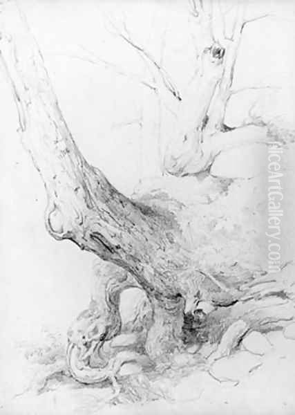 Sketch from Nature Oil Painting by Asher Brown Durand